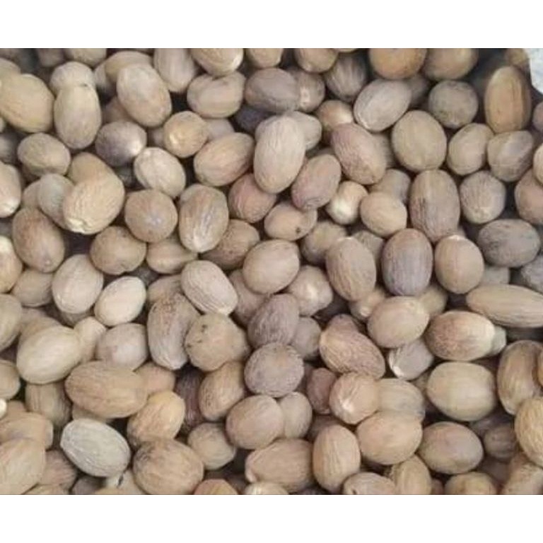 

Terlaris BIJI PALA KERING KEMASAN 1 KG REMPAH BUMBU DAPUR LBE