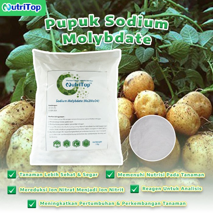 Terlaris Sodium Molybdate (Na2Moo4) 1 Kg