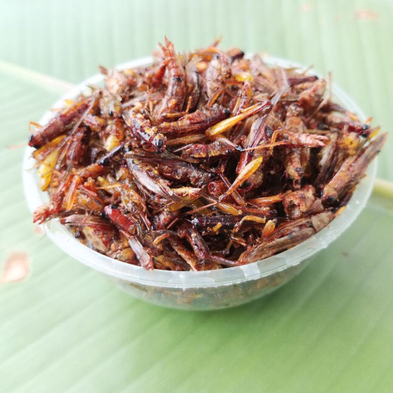 

Stock banyak Belalang Goreng/ Walang Goreng/ Simeut Goreng terenak KQE