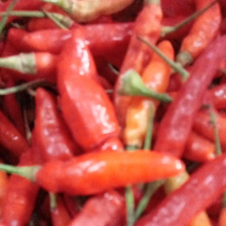 

RESTOCK B28 CABAI RAWIT MERAH 1KG FRESH ❂