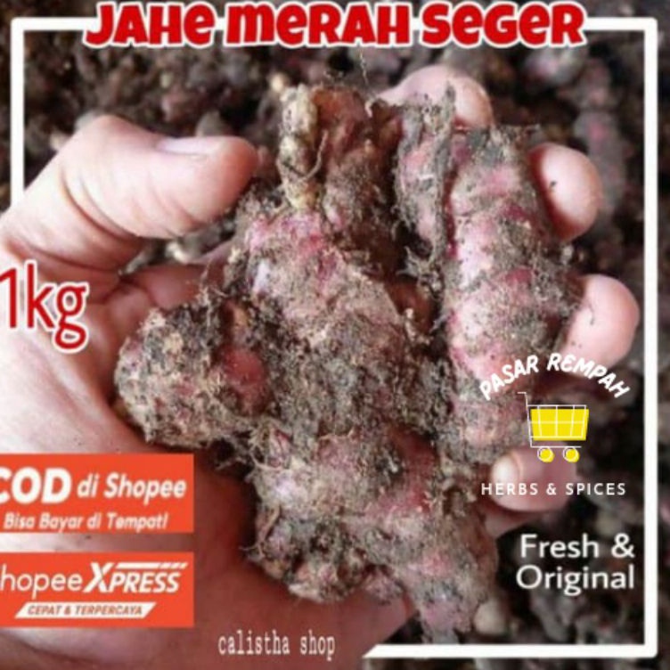 

イ Jahe Merah 1kg Jahe Merah Medan Jahe Merah Segar ァ