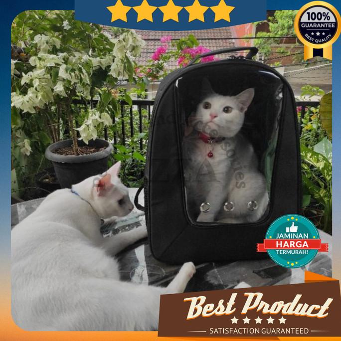 Tas Kucing Transparan Gratis Mainan Bola / Tas Hewan / Ransel Kucing