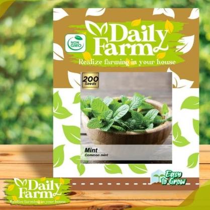 

Limited Benih Bibit Daun Mint Common Mint M23Y