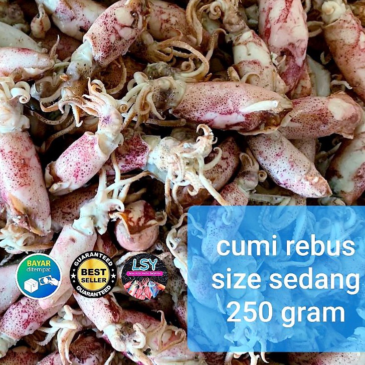 

VBHZ4295㊤ ikan asin cumi rebus / sotong rebus size sedang 250gram ㊯