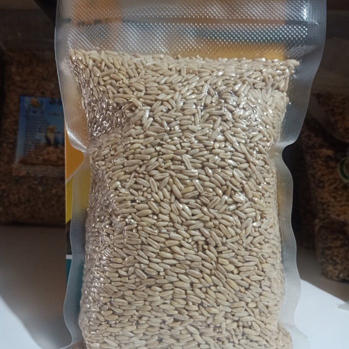 Terlaris Haver Seed Kupas 250 Gr Makanan Burung Lovebird Canary Kenari Dll
