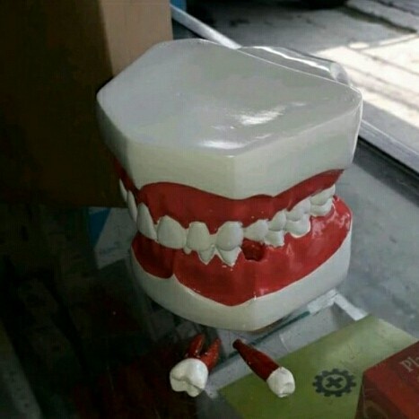 

Terlaris Alat Peraga Gigi Phantom Torso, Manekin Gigi, Peraga Gigi, Dental Kit