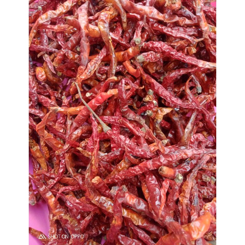 

Grosir.. CABE MERAH KERITING KERING 1 kg QMM