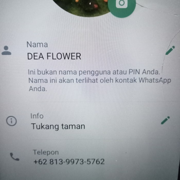 DISKON SPESIAL TAMAN KOLAM TEBING DAN KOLAM BATU ALAM MINIMALIS. KOLAM IKAN KOI TERMURAH