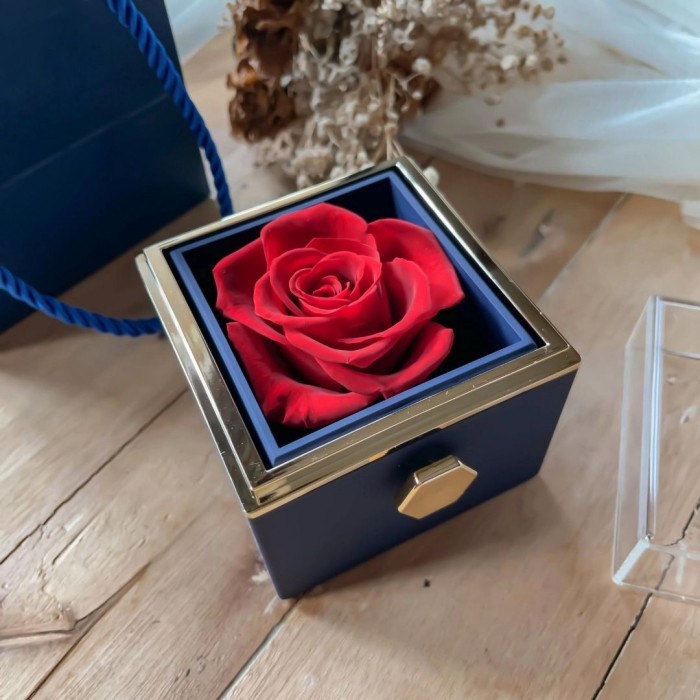 Hidden Jewelry Box - The Beginning - Kado Pasangan Pacar Sahabat Teman Murah