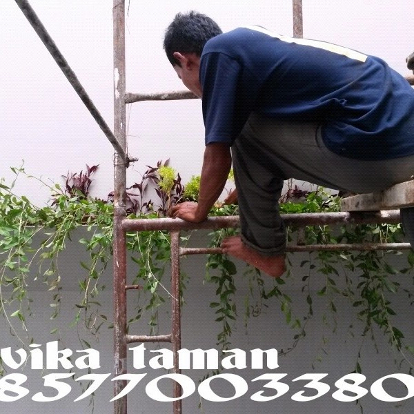 HOT SALE JASA TUKANG TAMAN CIBINONG - PEMBUATAN TAMAN CIBINONG TERLARIS