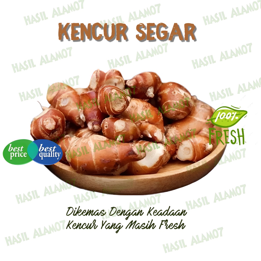 

Rempah Kencur Segar 1kg