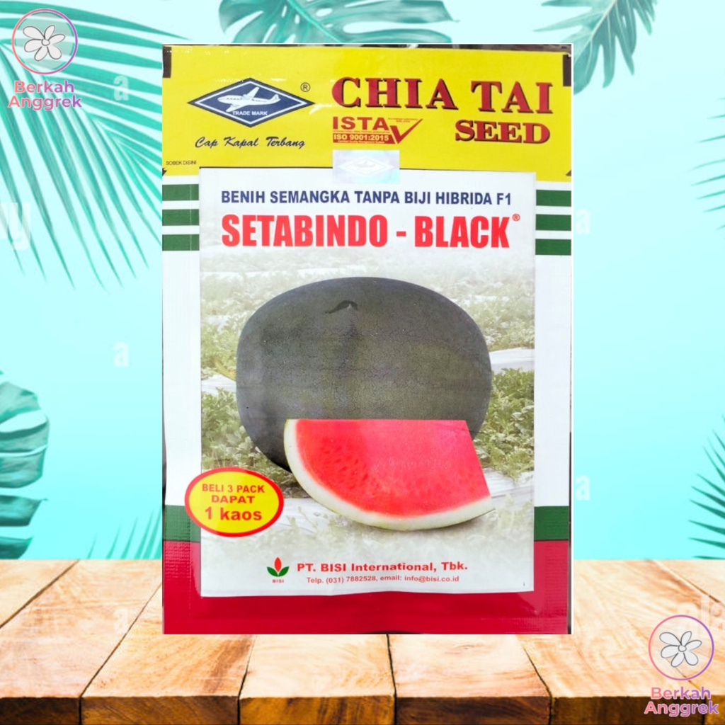 Setabindo Black 20 Gram Semangka Bulat Tanpa Biji