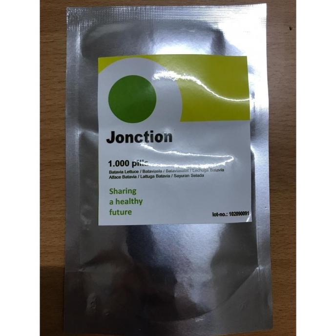 Bibit Benih Selada Batavia Jonction Junction RZ Rijk Zwaan 1000 Pills