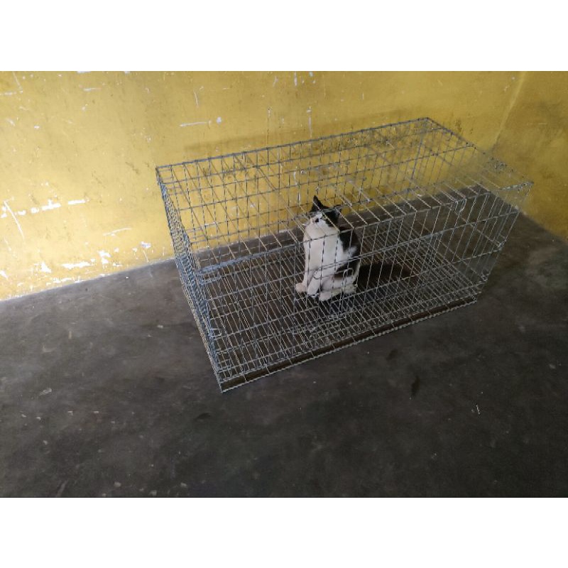 KANDANG BOX UNTUK KUCING AYAM BURUNG DARA MUSANG P.120 L.60 T.70