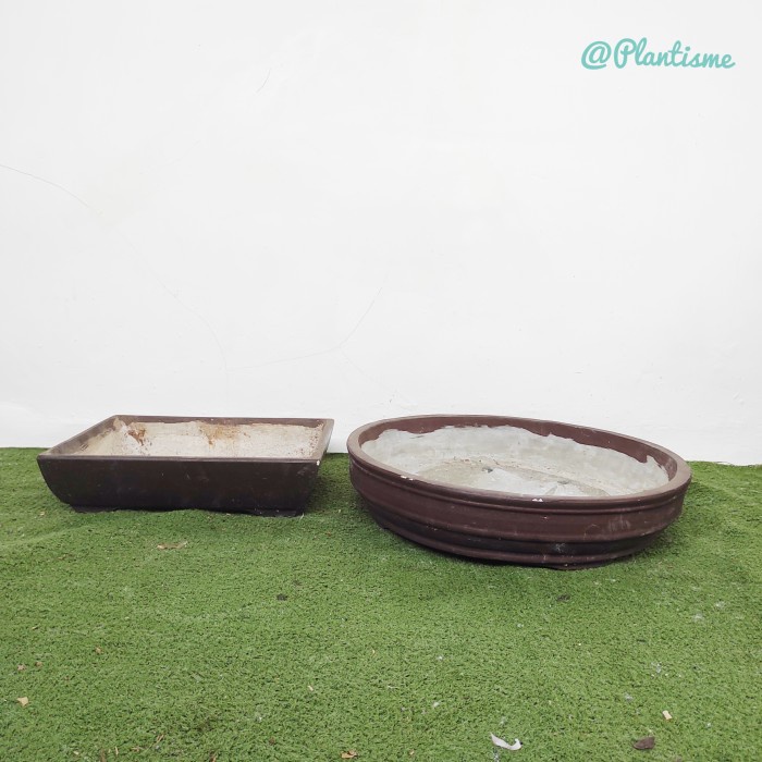Aneka Pot Bonsai Semen Diameter 50Cm Cement Pot Bonsai Besar Jumbo