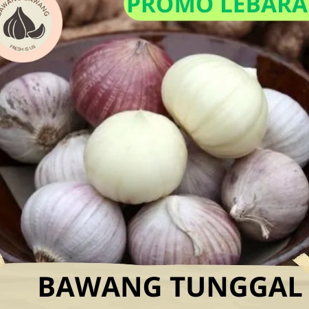 

Ready Stok Bawang Putih Tunggal Lanang Besar 1KG
