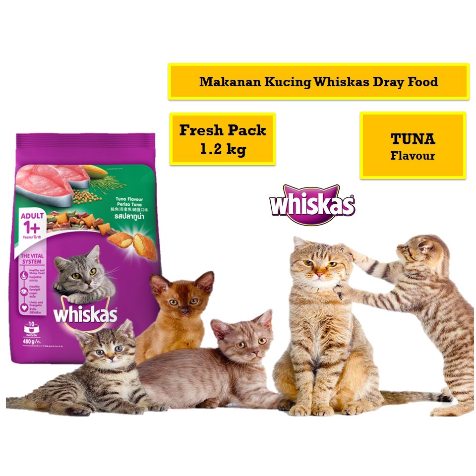 TERLARIS Toko Semar - Makanan Kucing Whiskas Dry Tuna 1,2 kg / Adult Ikan Tuna 1.2kg Fresh Pack