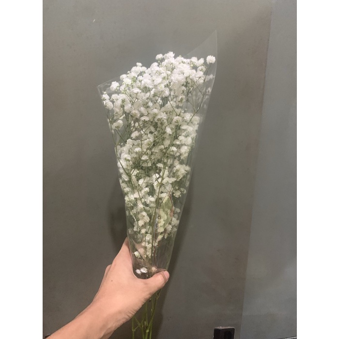 Best Seller Bunga Baby Breath Asli Fresh