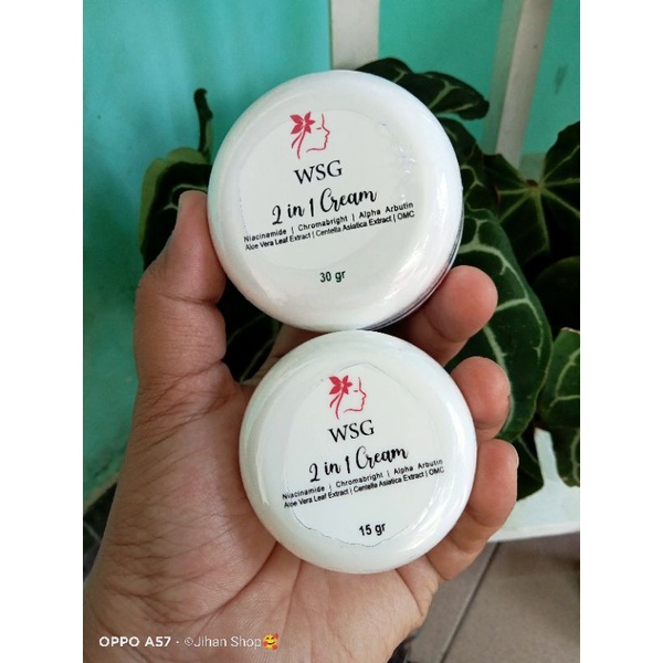 WSG cream 2in1 bpom