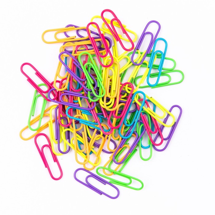 

Deli R Clip ( Assorted ) 0053