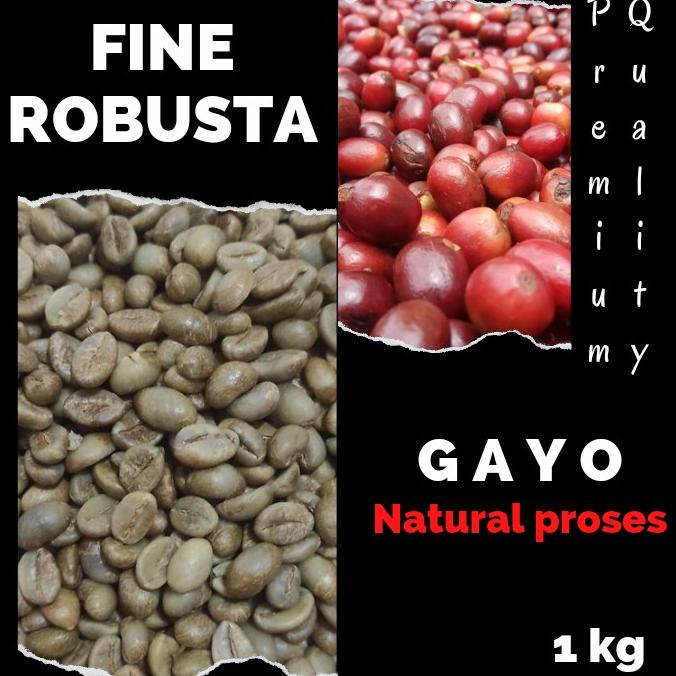 Green Bean ROBUSTA FINE GAYO - Natural proses 1kg Biji Kopi Mentah