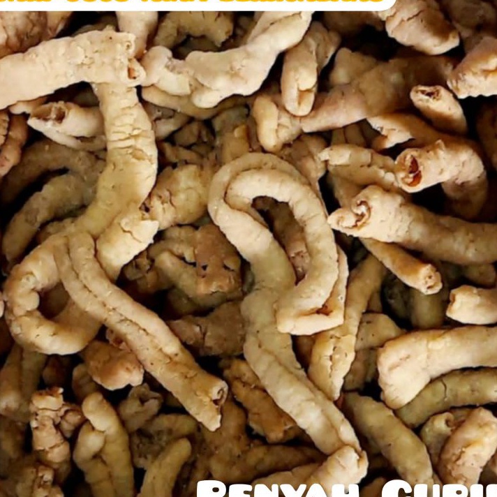 

Terbaru Snack Usus Crispy Renyah 250 gr Kriuk ➟➬✢