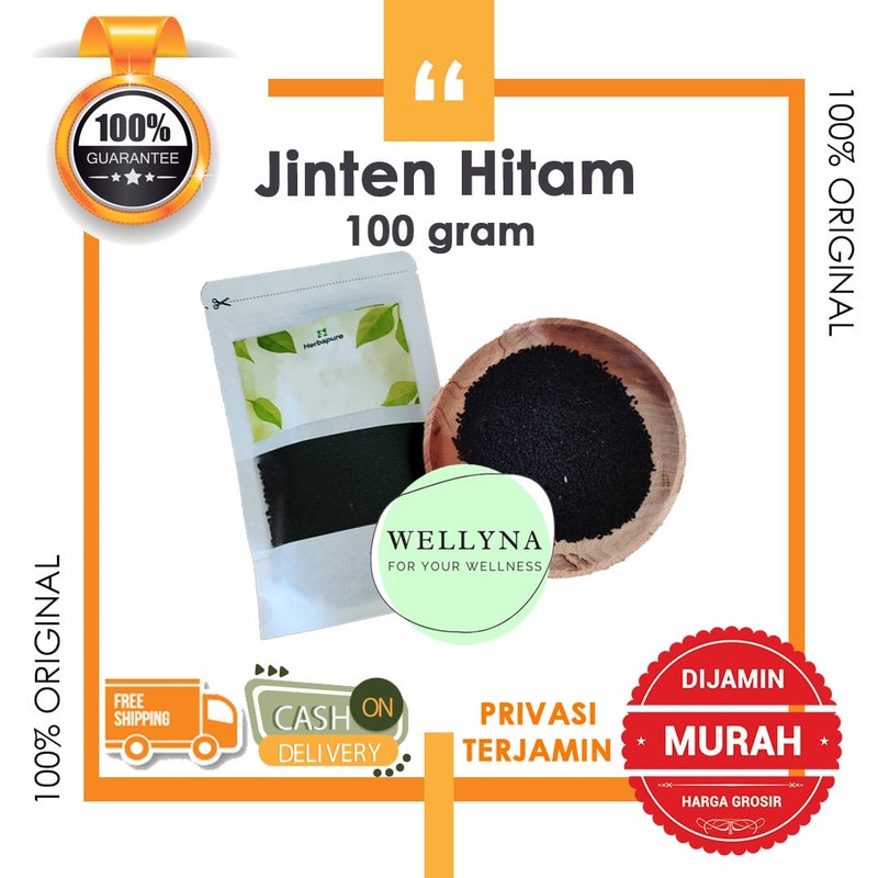 

☘️Wellyna☘️ Jinten Hitam Biji Habatussauda Habbasauda Asli 100% Kualitas Premium