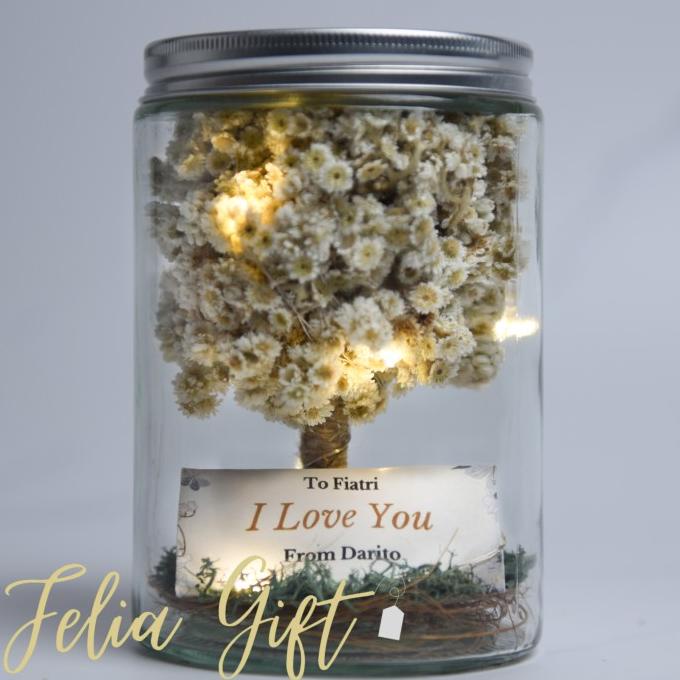 New Dried Edelweiss Toples Kaca Kado Miniatur Pohon Besar Hadiah Hiasan