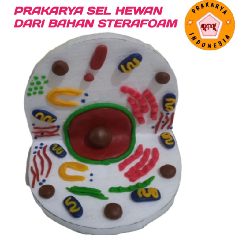 Murah Meriah.. PRAKARYA SEL TUMBUHAN DAN SEL HEWAN