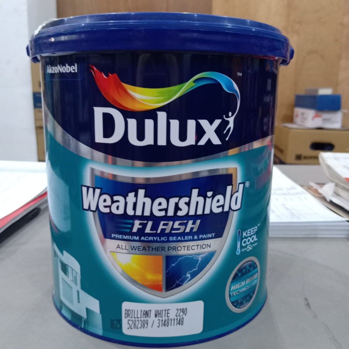 Dulux Weathershield Flash/ Acrylic Sealer Dan Paint