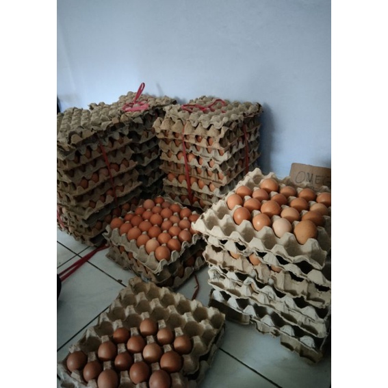 

TELUR AYAM OMEGA 3 PREMIUM 1KG (15-18butir)
