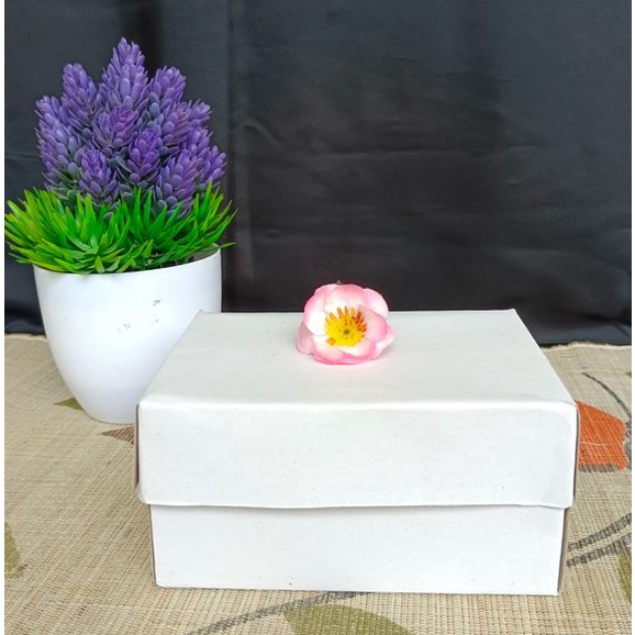 

Dus Snack / Dus Snack Plus Aqua Meling / Box Snack / Box Serbaguna / Dus Pacitan Khajatan