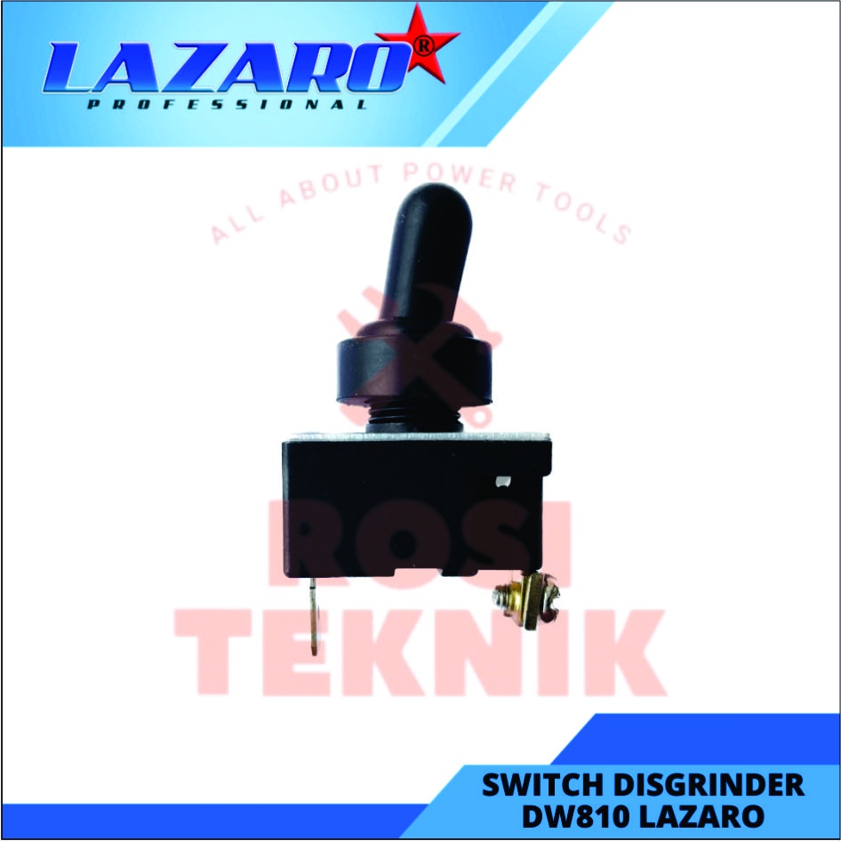 Switch Disgrinder DW810 LAZARO