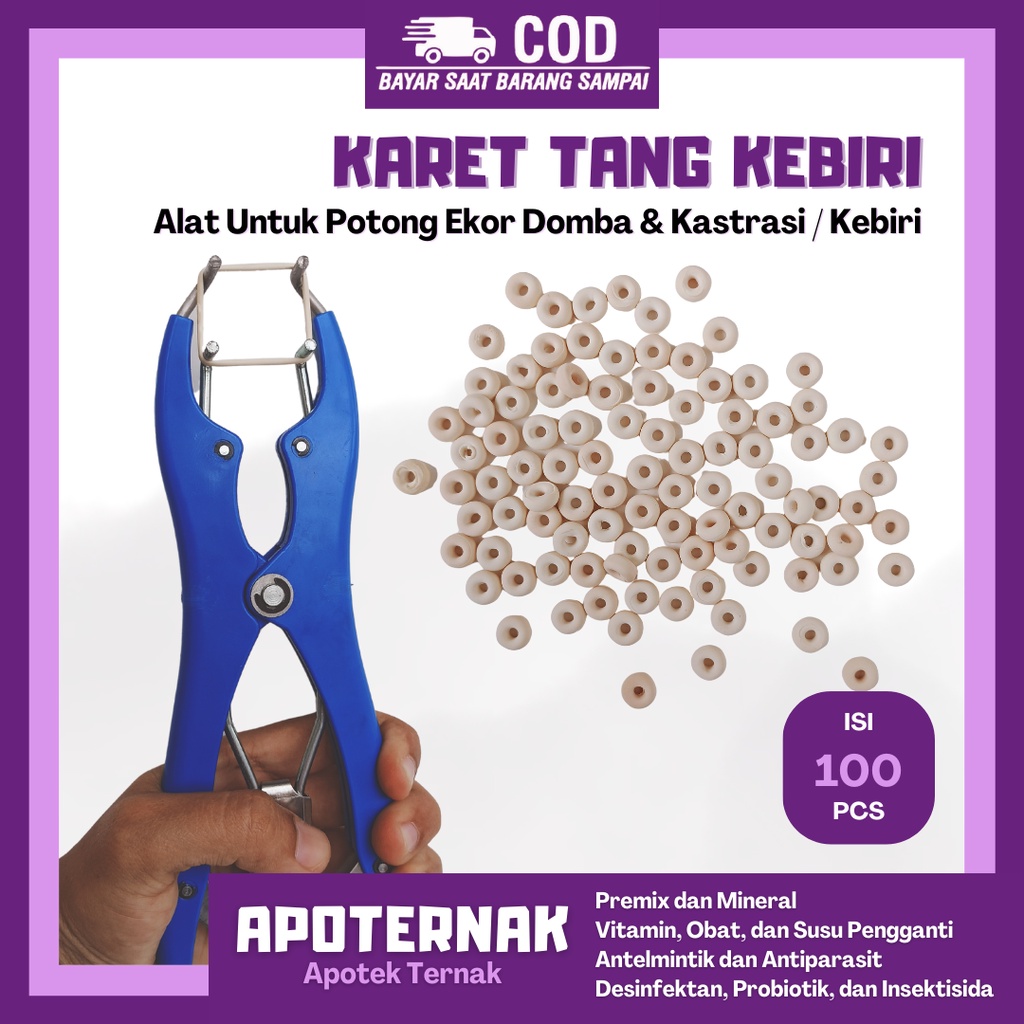 KARET TANG KASTRASI KEBIRI | Alat Kebiri dan Potong Ekor Hewan Sapi Kambing Domba Babi dll | Apoternak