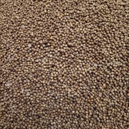 

Ketumbar original hitam coklat asli 1 kg