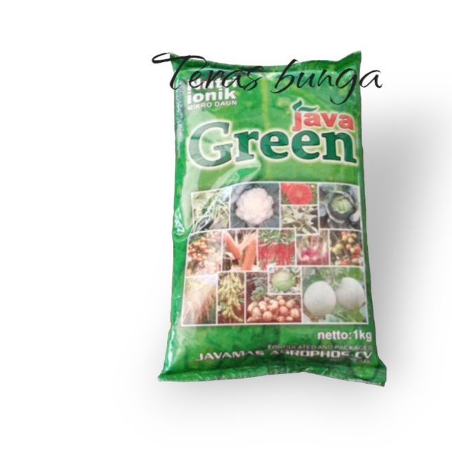 pupuk java green
