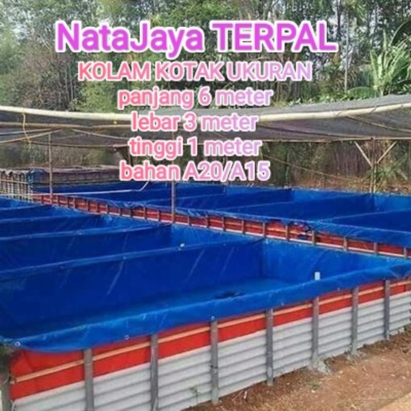 TERPAL KOLAM BUDIDAYA IKAN UK 6x3x1 bahan A20/A15 MADE IN KOREA