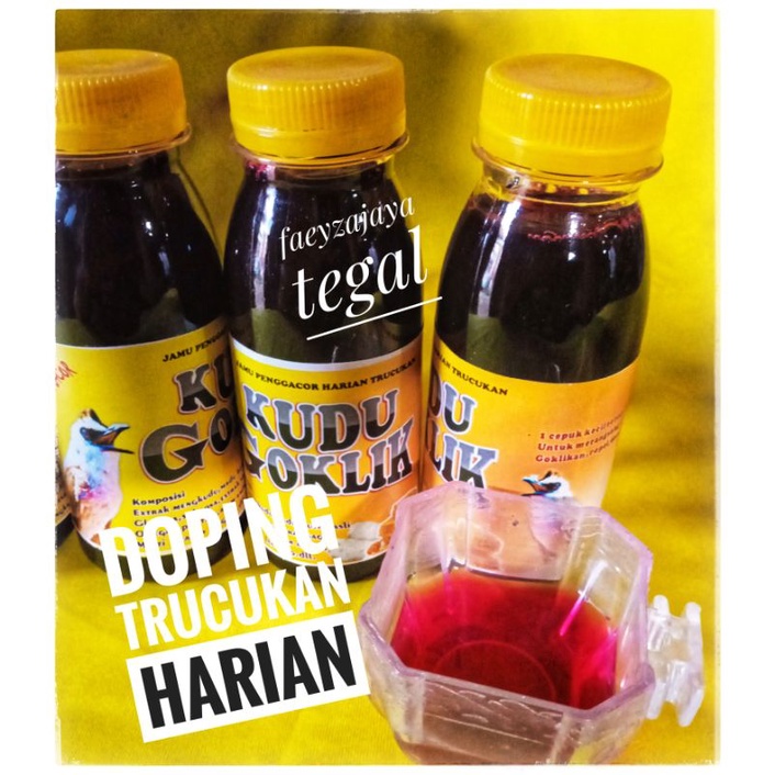 KUDU GOKLIK Doping Burung Trucukan vitamin burung penggacor burung trucukan cucak hijau pleci kolibr