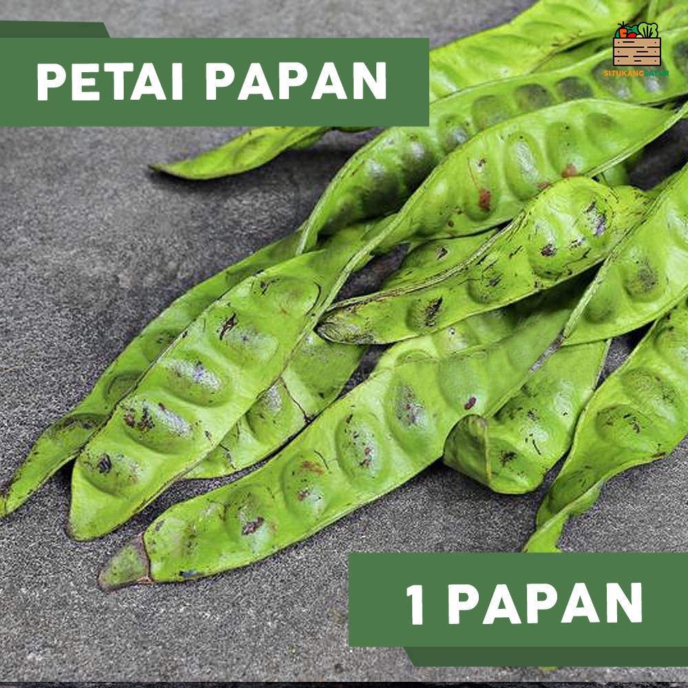 

Pete Papan | 1 papan (Kota Bandung & Sekitar)