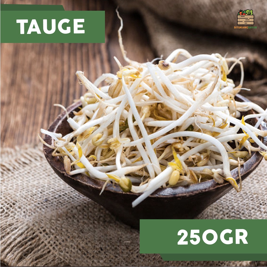

Toge Putih | 250gr (Kota Bandung & Sekitar)