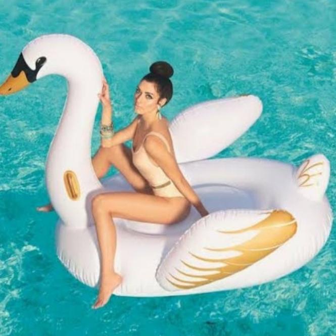 Ban Renang Dewasa Flaminggo Angsa Putih Untuk Kolam Renang, Wisata Air