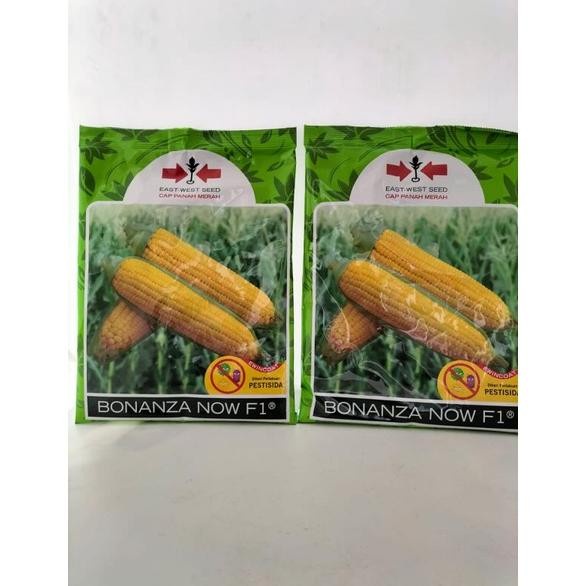 PROMO BONANZA NOW F1 1800 BUTIR BONANZA F1 JAGUNG MANIS TN TERMURAH