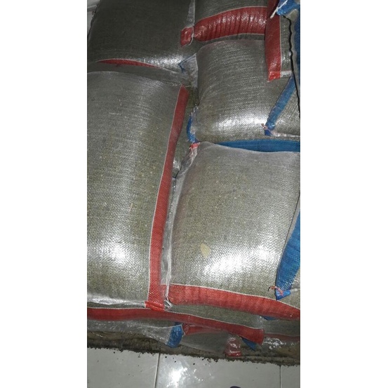 

STOK TERBATAS HARGA TERJANGKAU KUALITAS PREMIUM |KACANG HIJAU PREMIUM