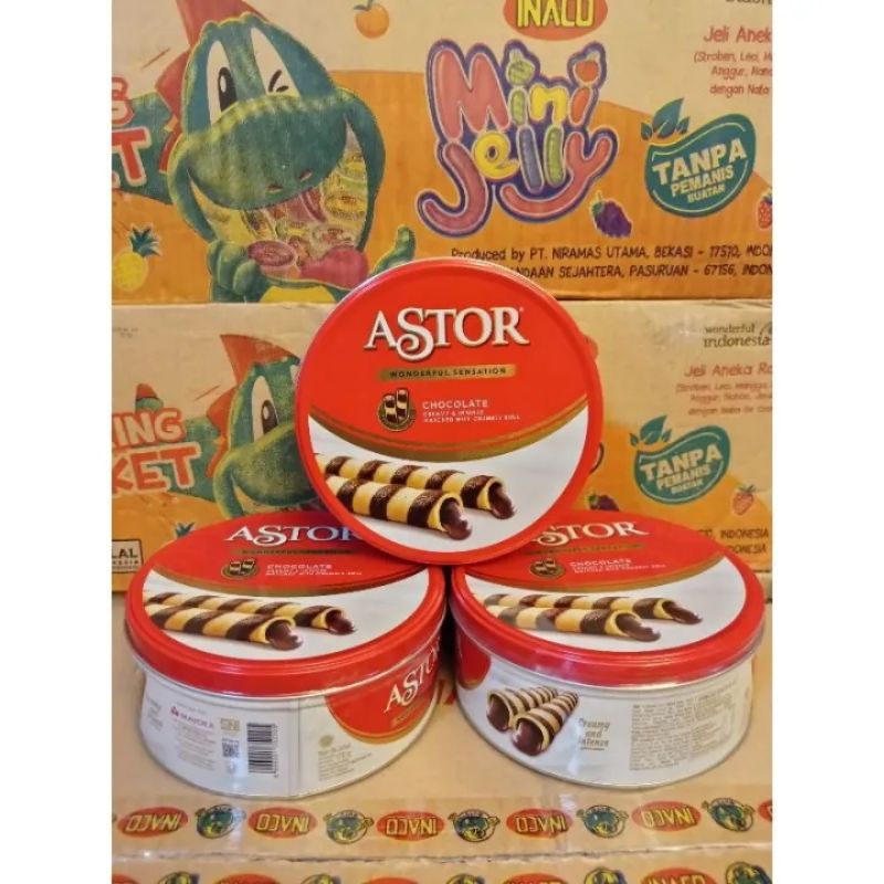 

astor chocolate wafer stick 156gr