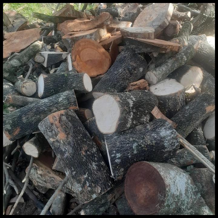 

HOT DEAL KAYU BAKAR RAMBUTAN,MANGGA,NANGKA 10 KG !!!!!!