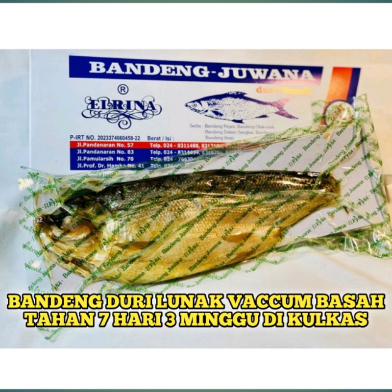 

Bandeng duri lunak vaccum basah