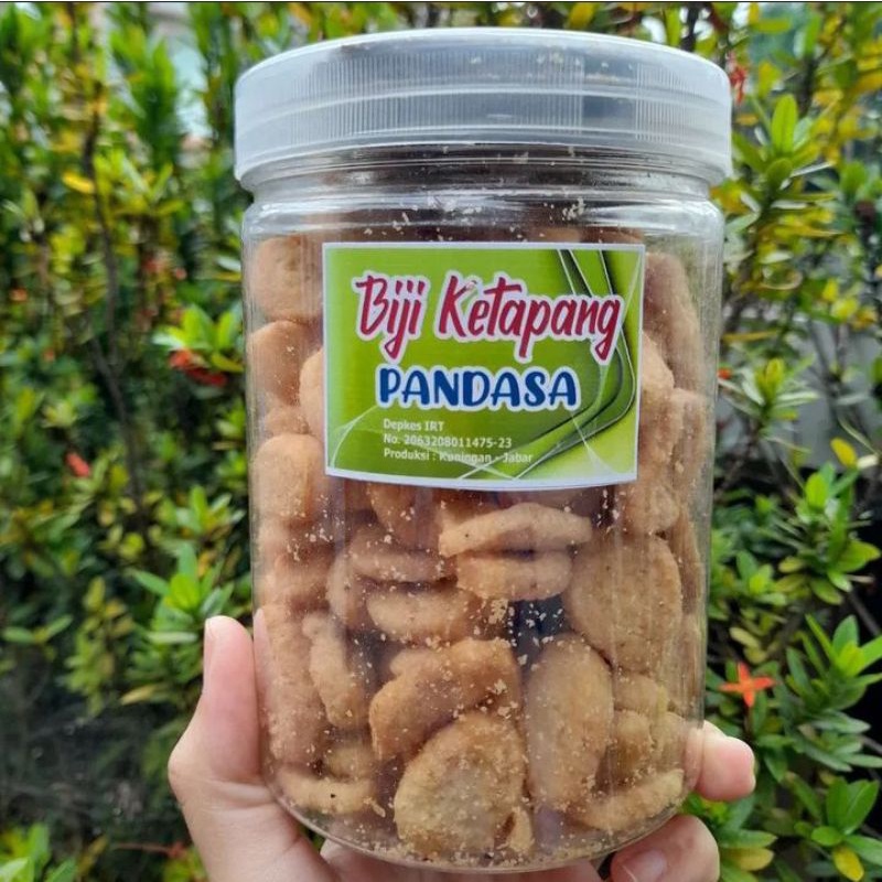 

BIJI KETAPANG PANDASA