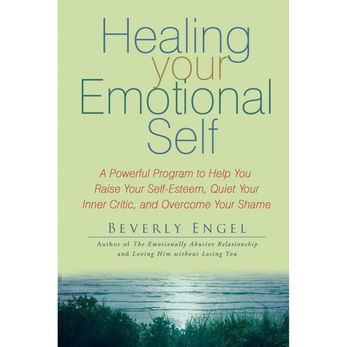 

Healing Your Emotional Self (Beverly Engel)