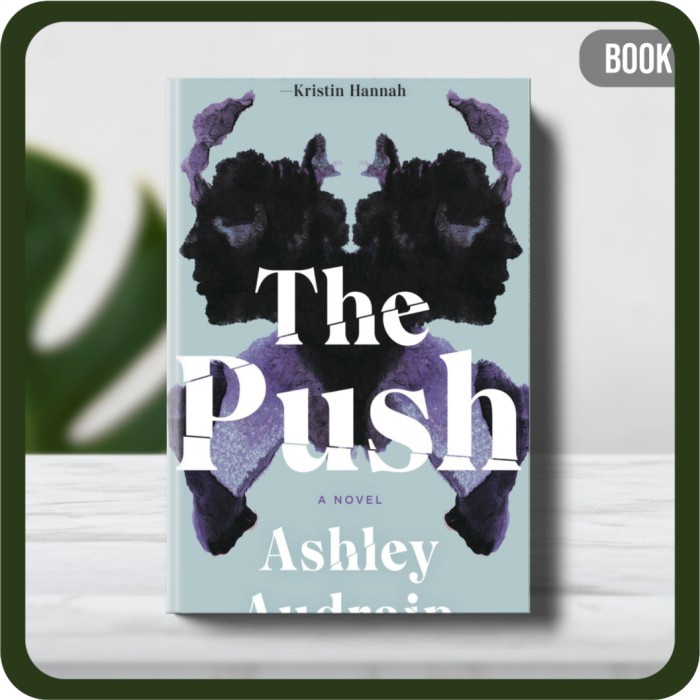 

Buku - Ashley Audrain The Push A Novel