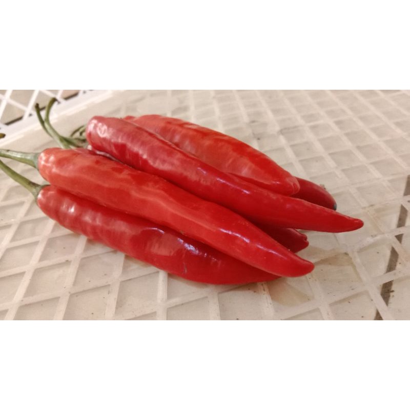 

Cabe Merah Besar 1/4kg